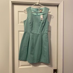 Sea Foam Green Size Medium Love 21 Dresd
